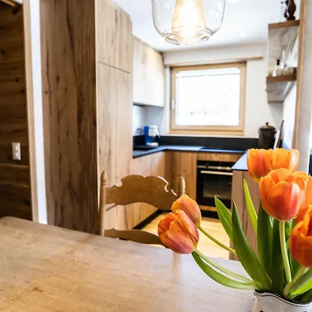 Haus Camillo Appartement-fewo 4-bettwohnung Nr- 9 By Interhome * Saas-Fee